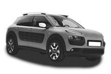 C4 CACTUS