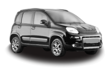 PANDA VAN (312_, 519_)