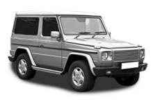 G-CLASS (W463)