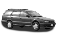 PRIMERA Traveller (W10)