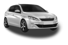 308 Hatchback Van (LB_)